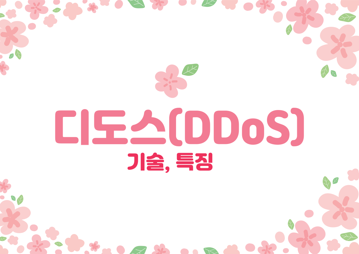 디도스